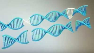 kỹ thuật DNA tái tổ hợp